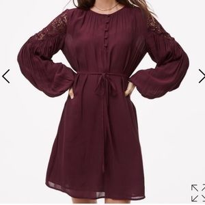 Loft Lace Shoulder Shirtdress in Cabernet